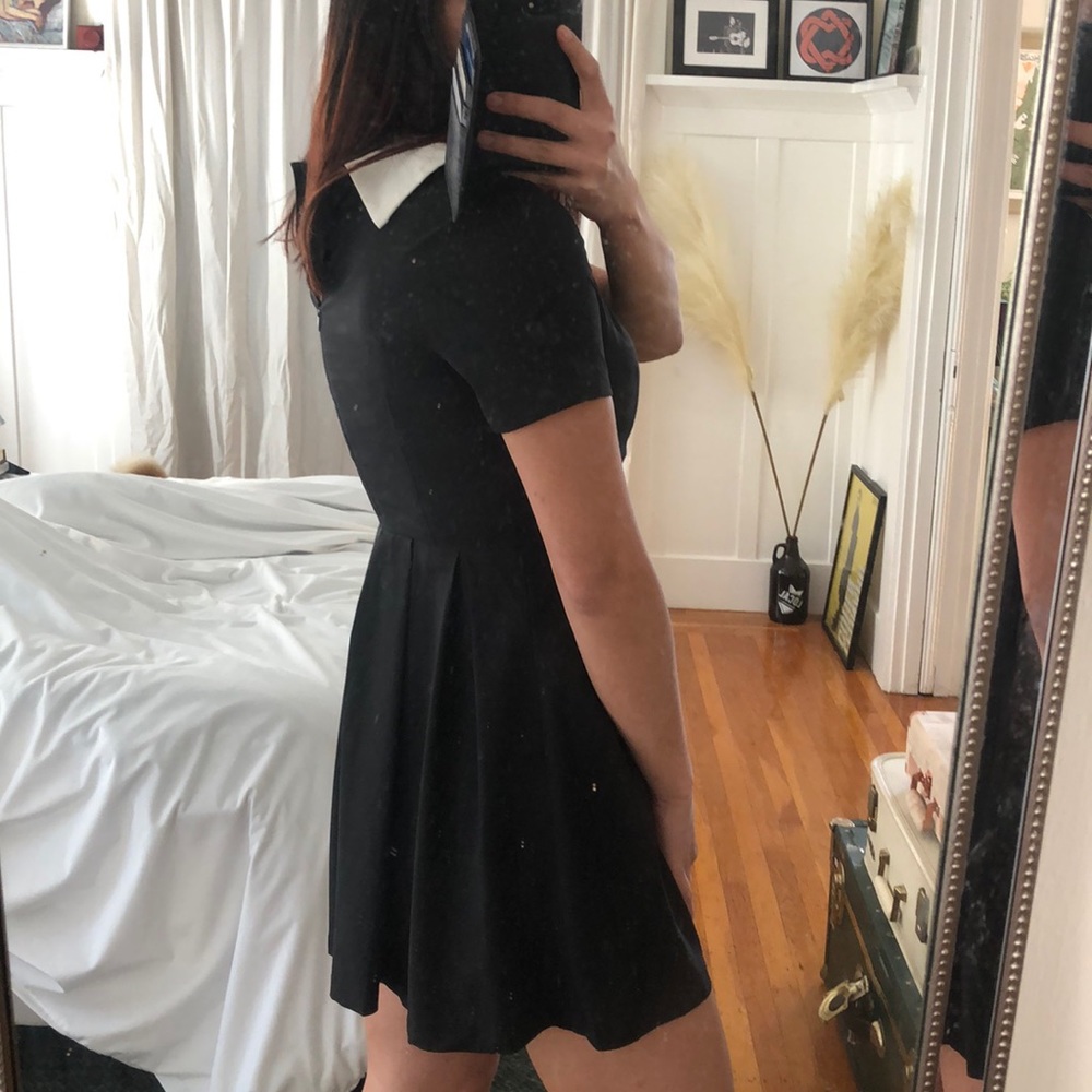 Peter Pan Pleated Dress View 4
